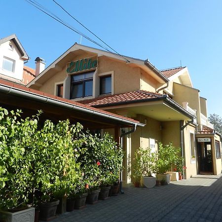 Guesthouse Ellite Požarevac Extérieur photo